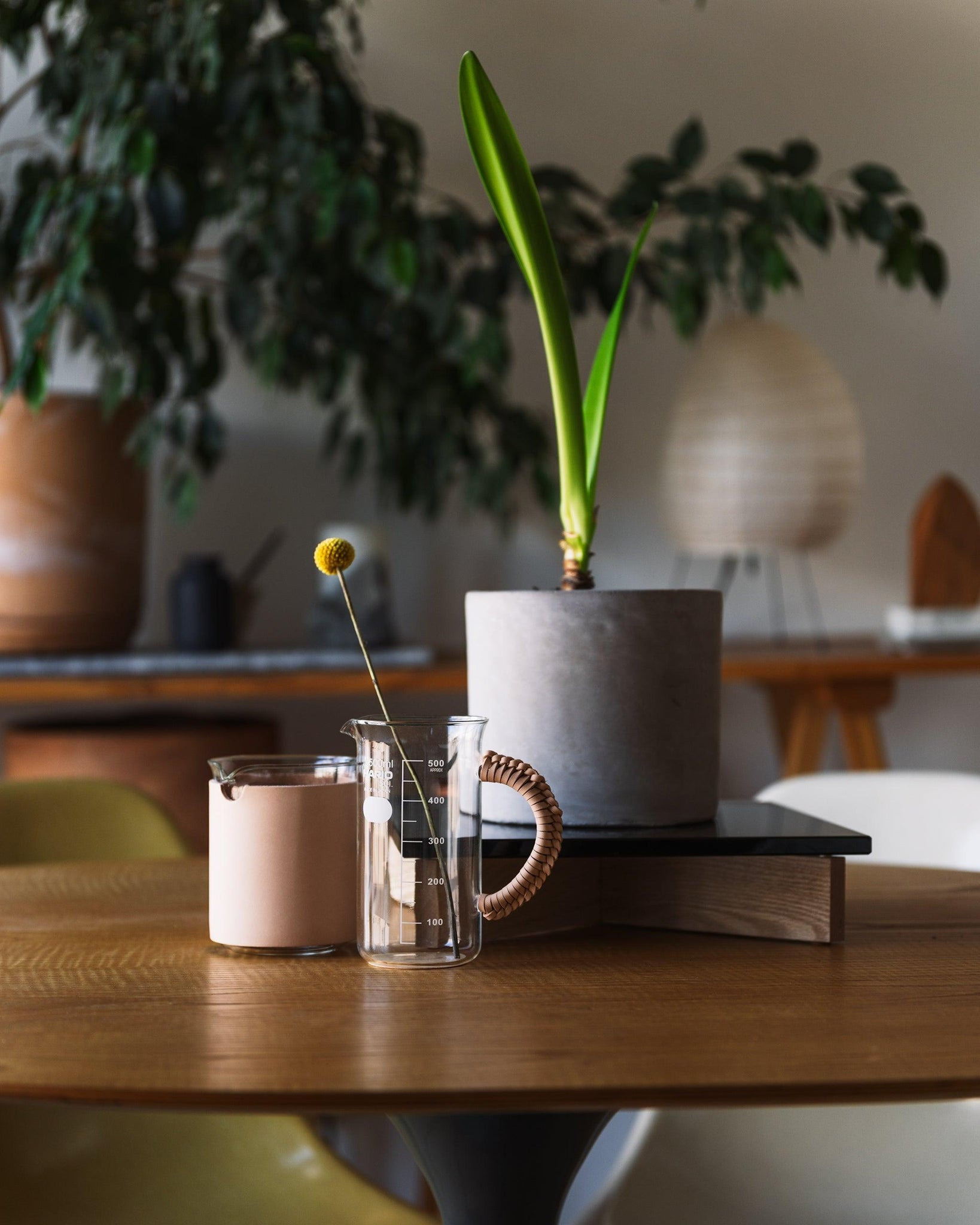 Handle Beaker/500Ml Vase Natural - 4