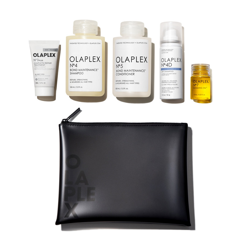 THE HEALTHY HAIR TRAVEL SET 1