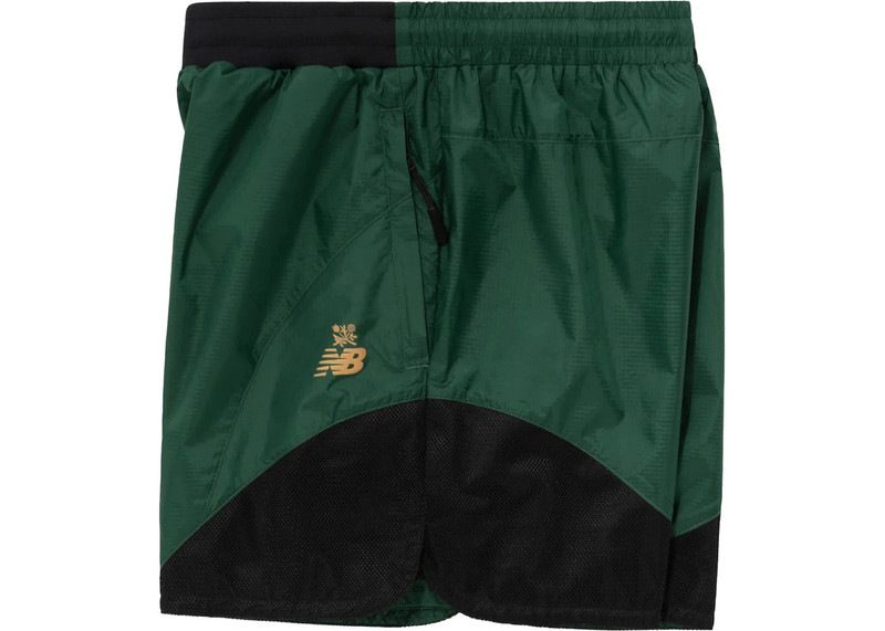 AIMÉ LEON DORE Aime Leon Dore x New Balance Nylon Short Blue/Green outlook