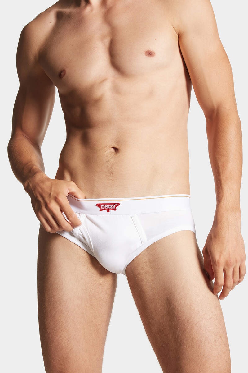 DSQ2 LEAF BRIEF - 3
