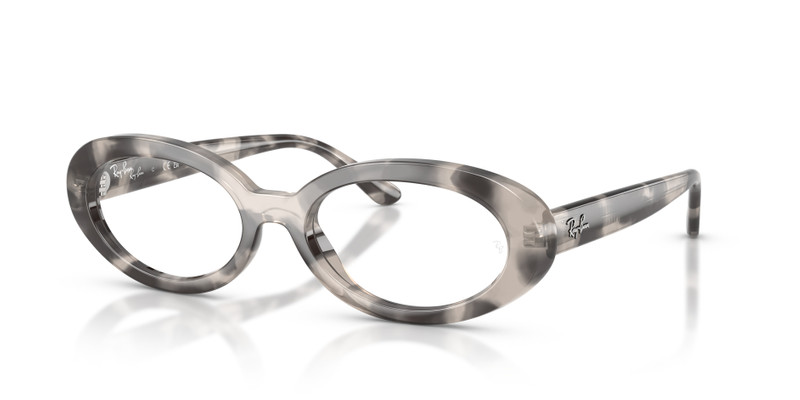 RB2223V OPTICS 1