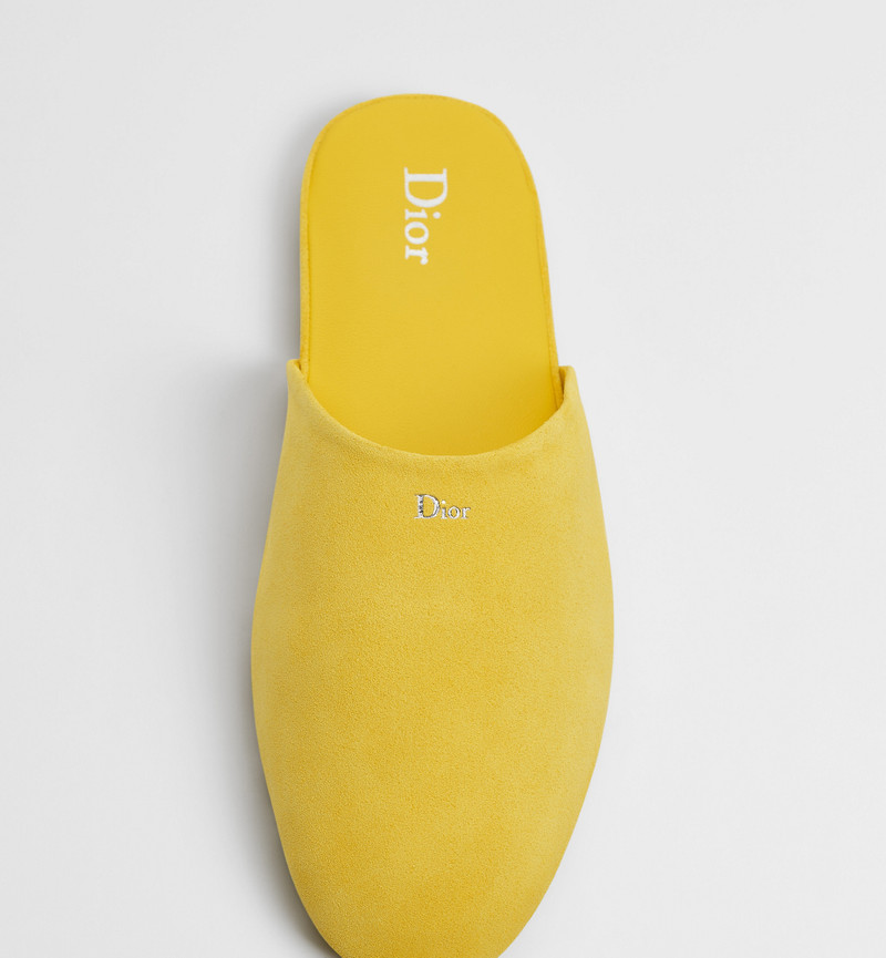 Dior InDior Mule outlook