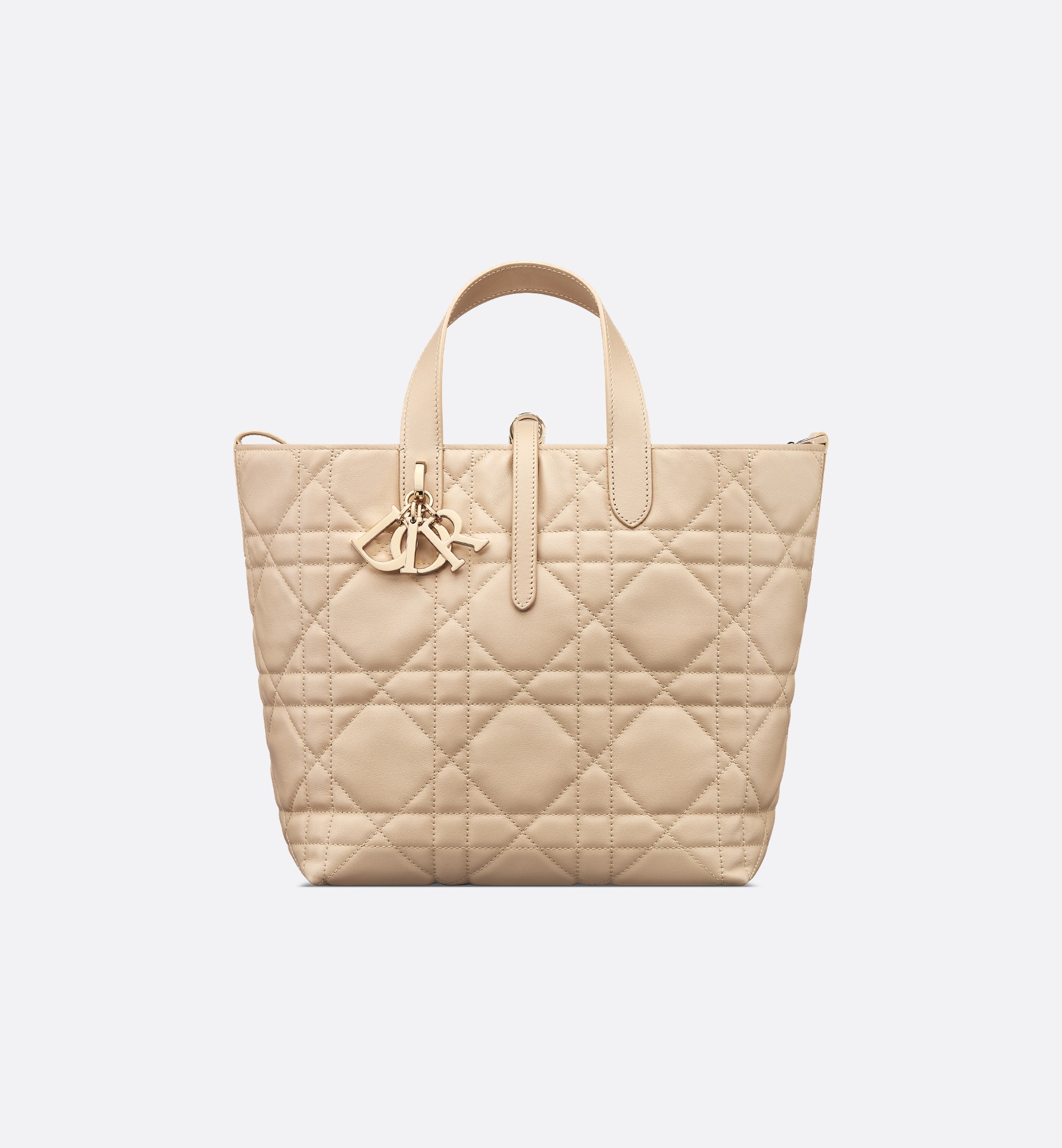 Medium Dior Toujours Vertical Tote Bag - 3