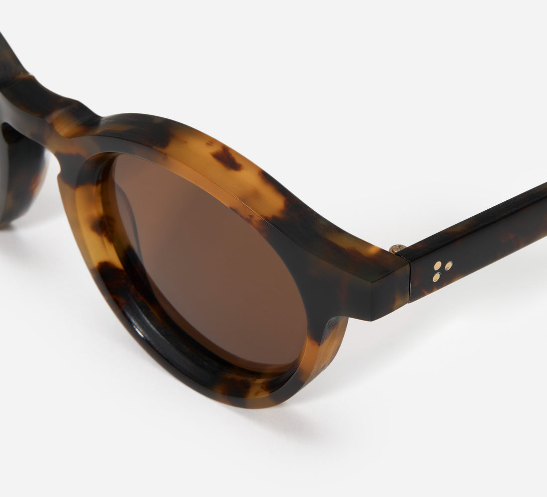 P3 Round - SP-01 - Tortoise/Brown - 4