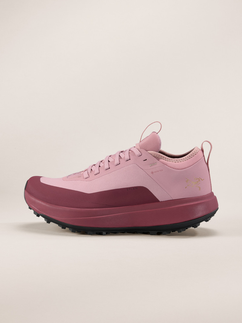 Sylan GTX Shoe 1
