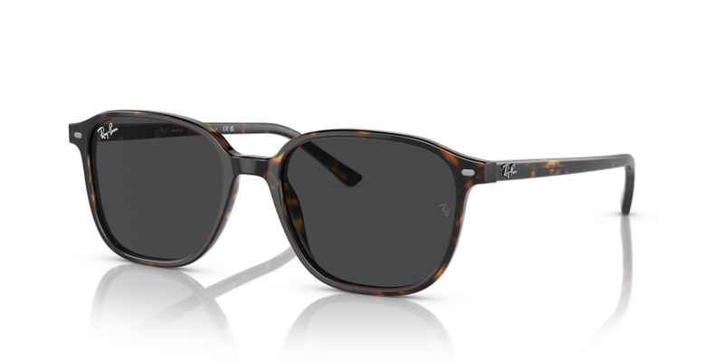 LEONARD TRANSITIONS® 3