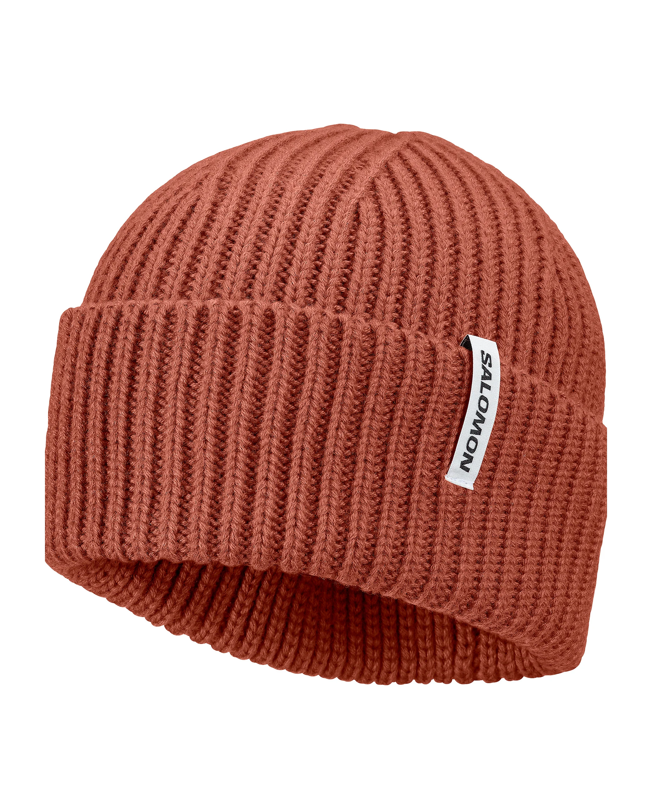 SNOWBIRD - 1
