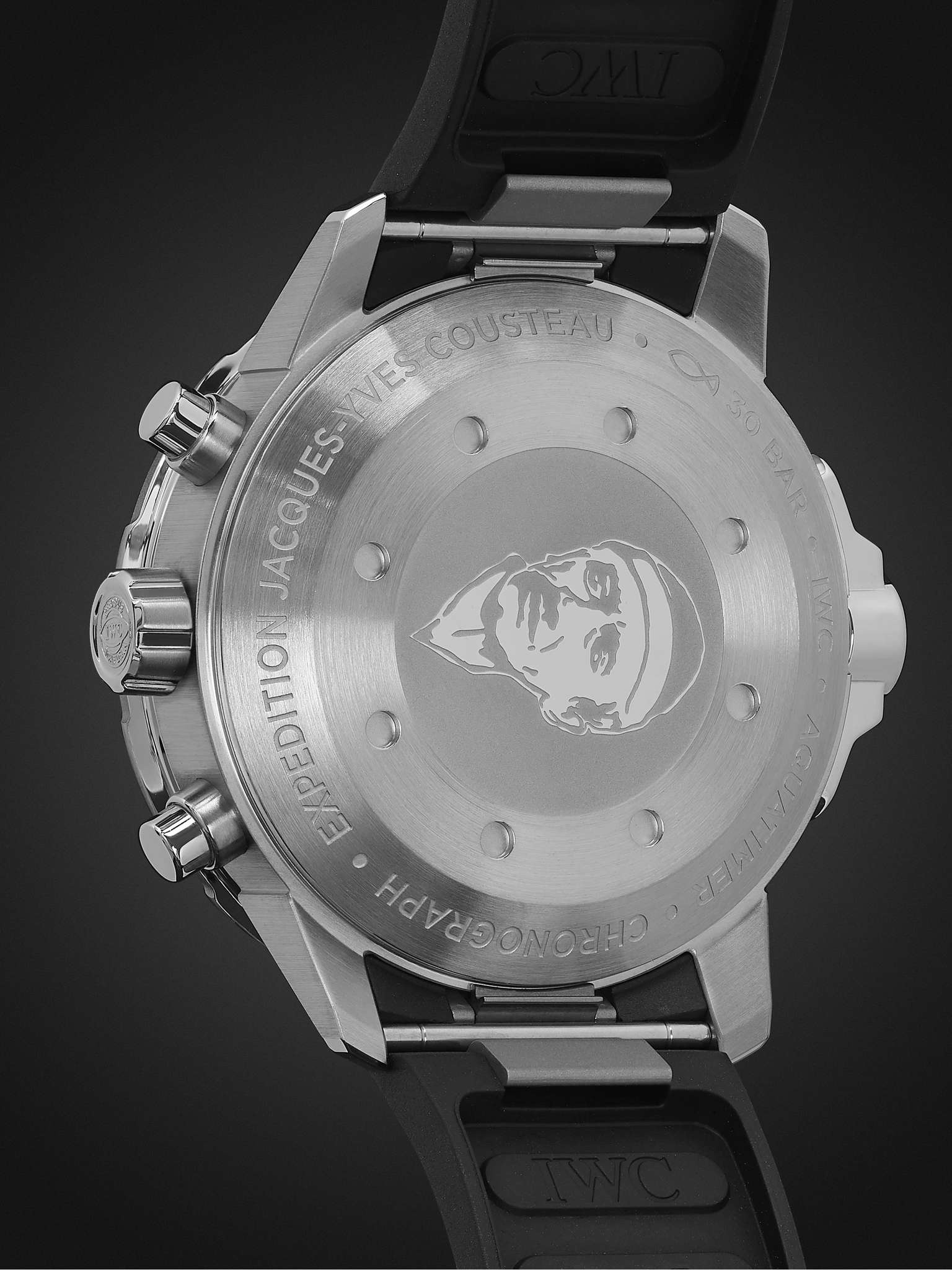 Aquatimer Expedition Jacques-Yves Cousteau Edition Automatic Chronograph 44mm Stainless Steel and Ru - 5