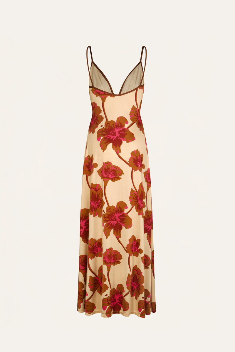 Sendero De Astromelias Dress 3