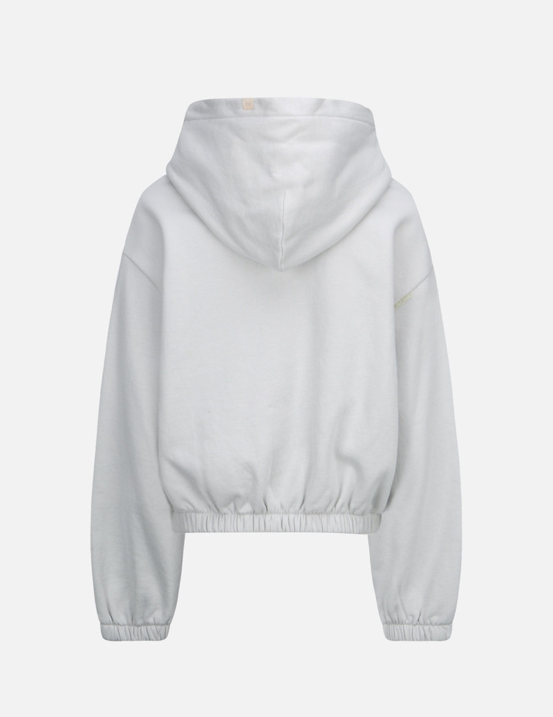 EVISU Seagull and Logo Tactile Print Hooded Sweatshirt outlook
