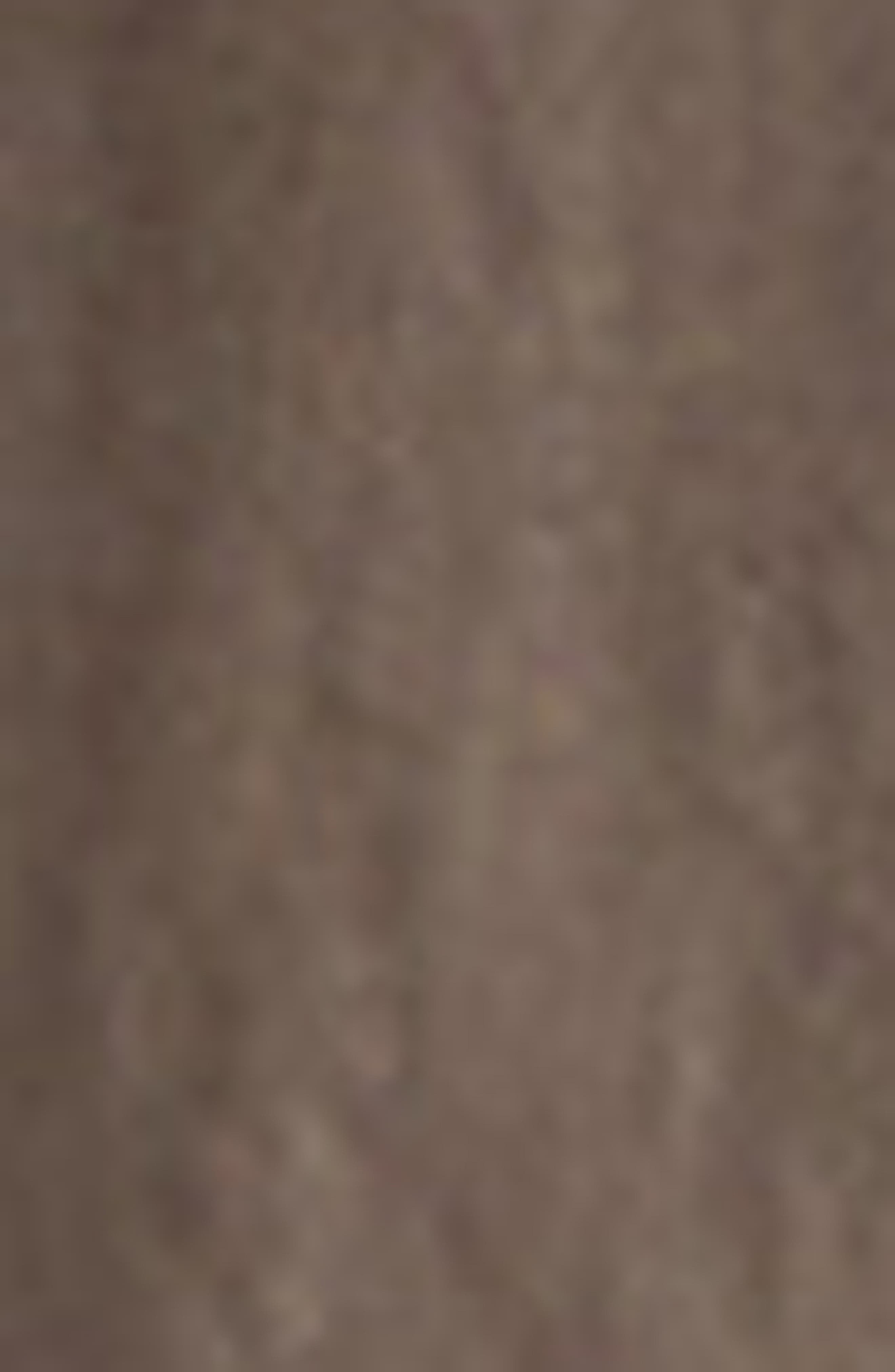 Lemaire Zip Front Blouson Jacket in Walnut at Nordstrom - 6