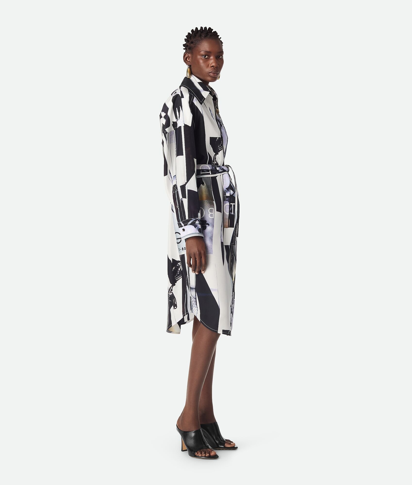 Silk Printed Dress - 2
