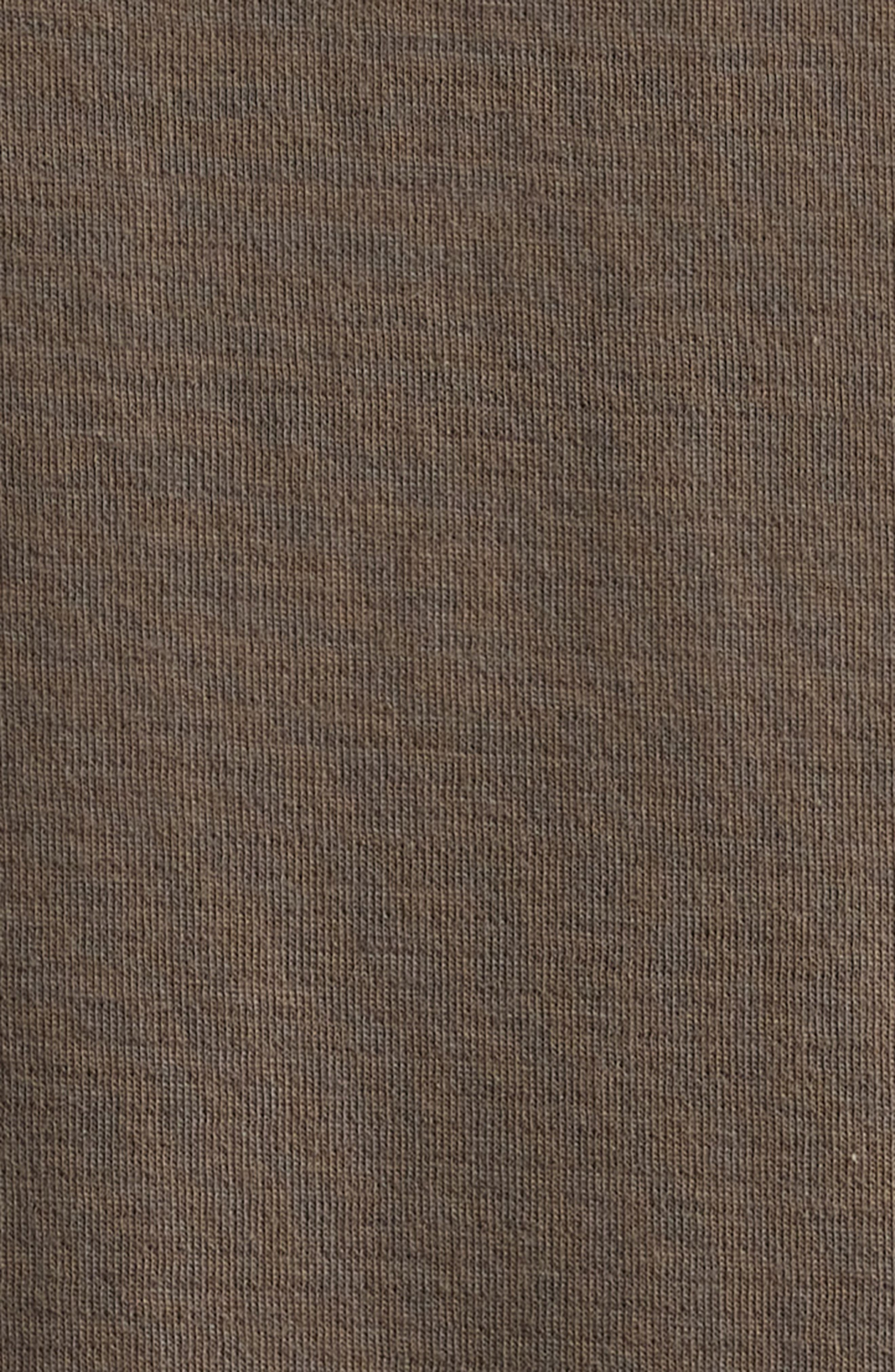 FRAME Duo Fold Cotton T-Shirt in Taupe at Nordstrom - 6