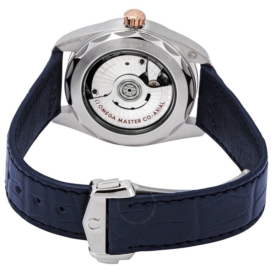 Omega Aqua Terra 150M Co-Axial Master Chronometer Automatic 38 mm Men's Watch 220.23.38.20.03.001 - 3