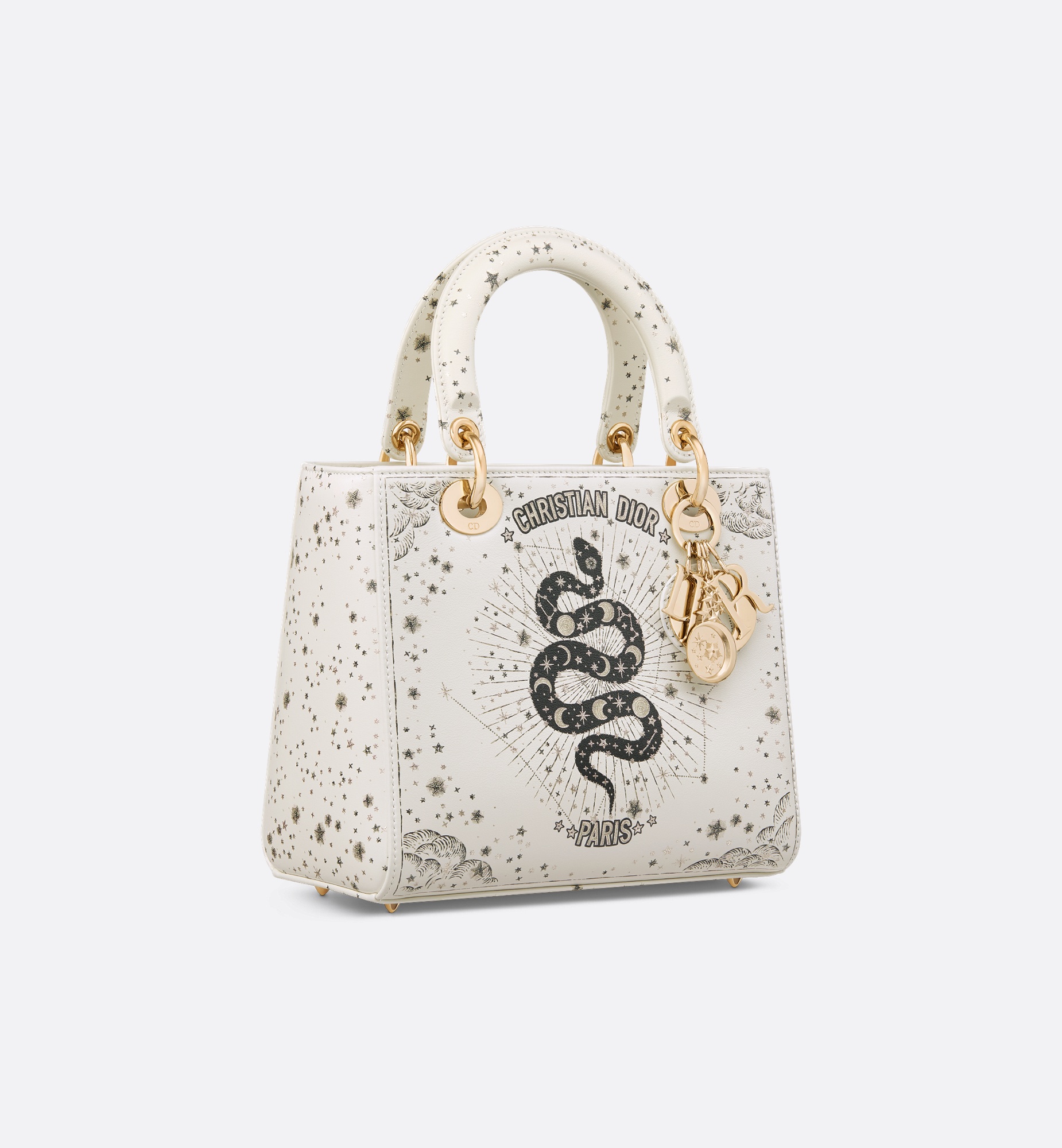 Medium Lady Dior Bag - 3