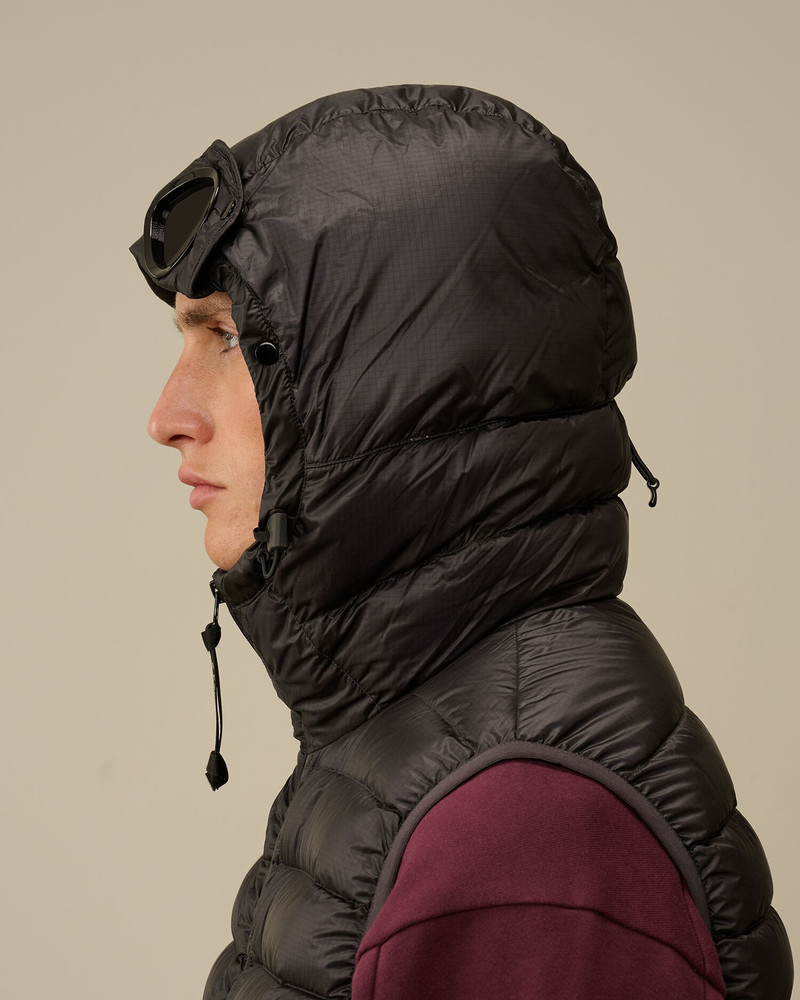 D.D. Shell Goggle Down Vest 5