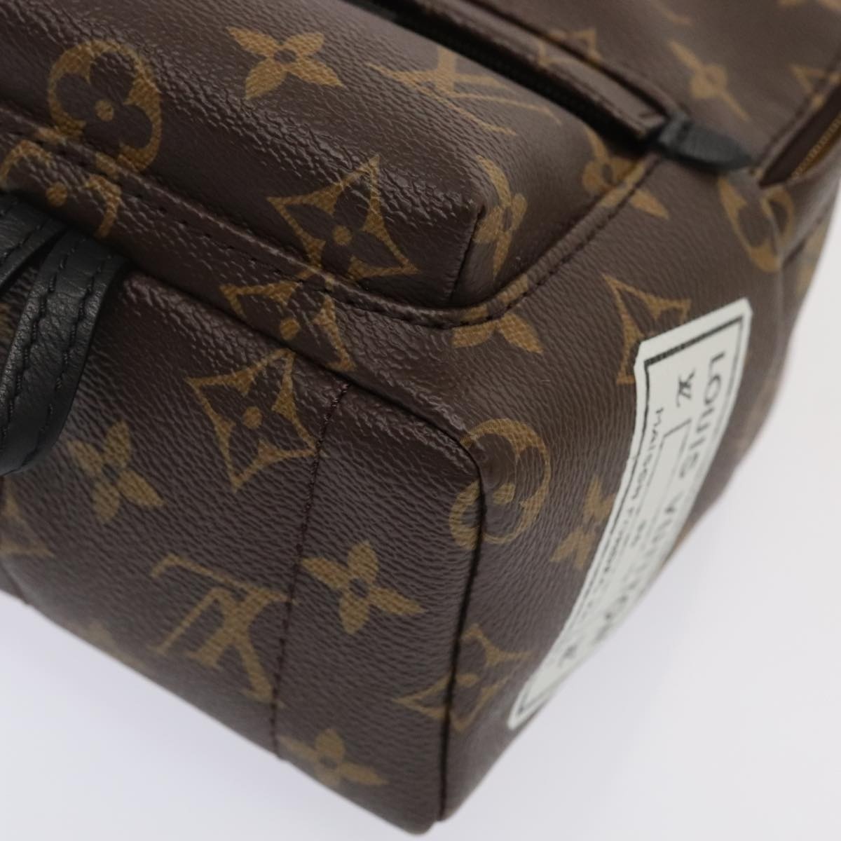 LOUIS VUITTON Monogram Palm Springs Mini Backpack M41562 - 16