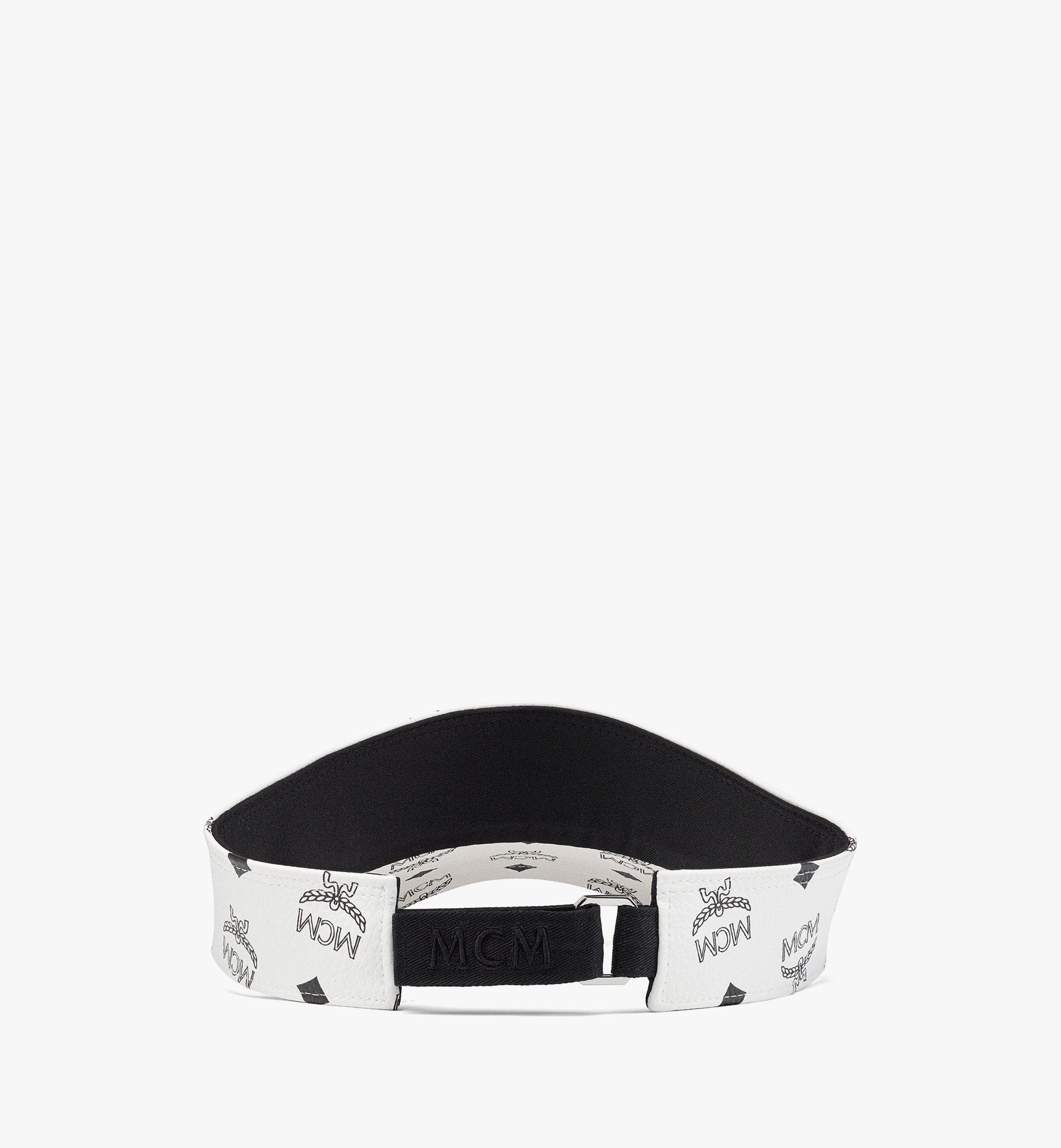 Visor in Visetos - 3