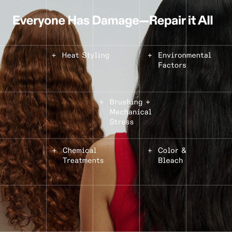 The Iconic Treatment, Shampoo & Conditioner, & Hair Repair Routine Set 6