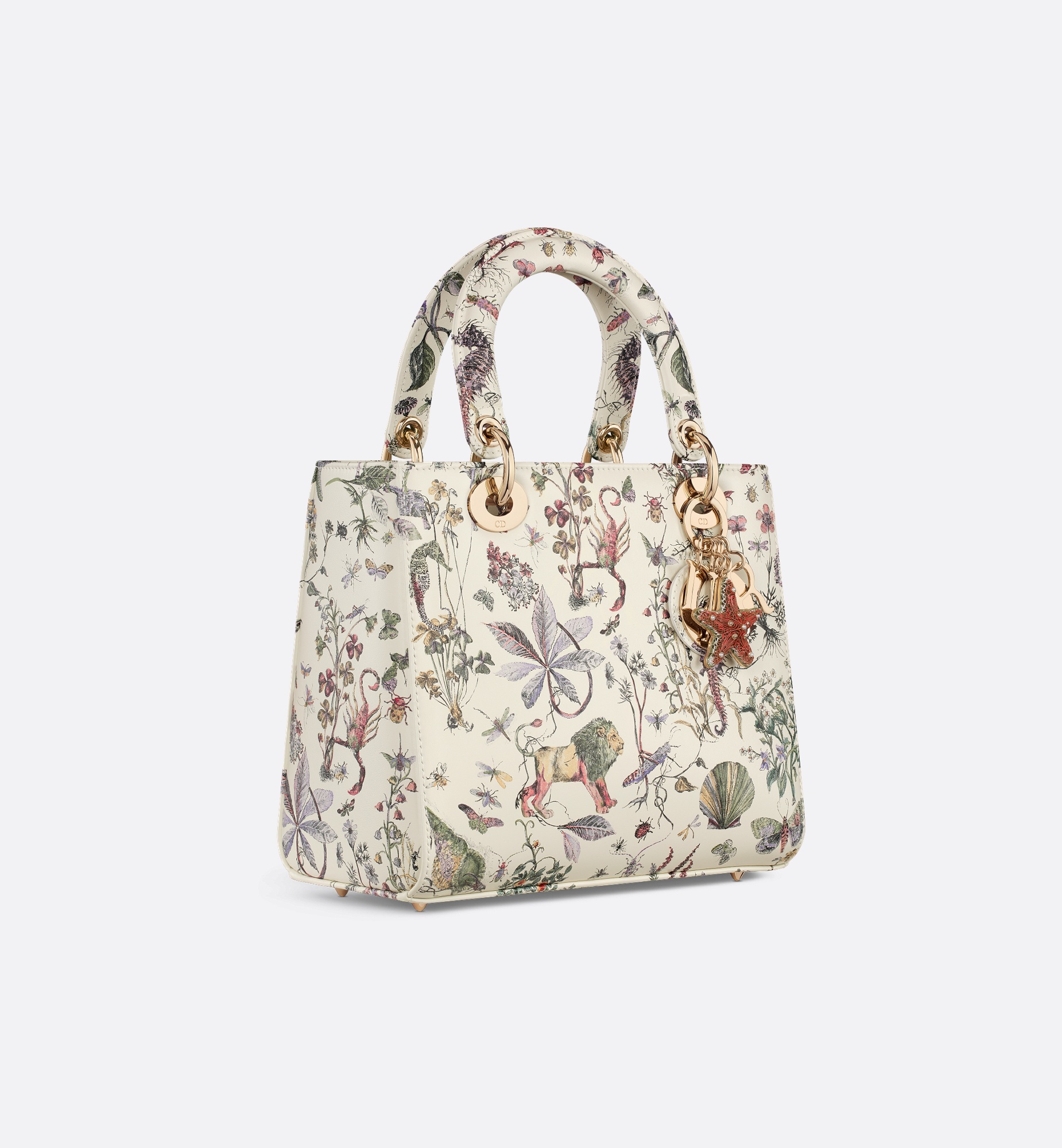 Medium Lady Dior Bag - 3