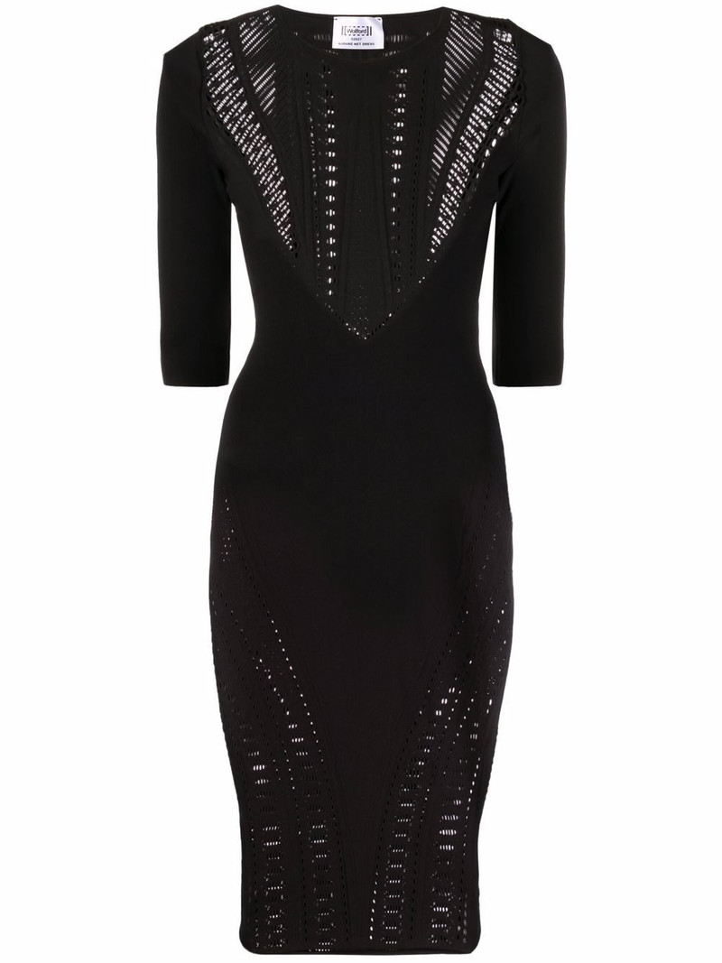 x Alberta Ferretti Ajouré net dress 1