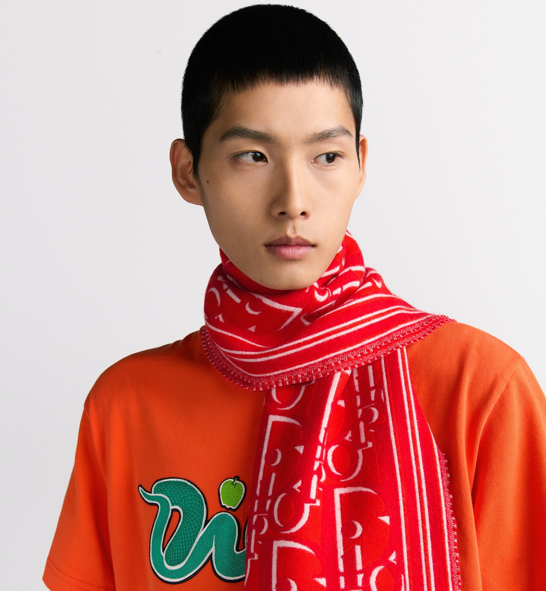 DIOR AND KAWS Scarf - 3