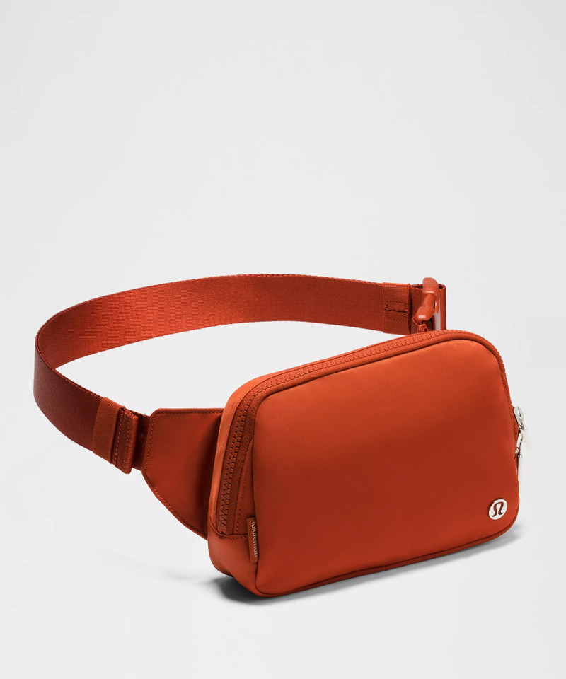 Everywhere Belt Bag Large with Long Strap 2L 4