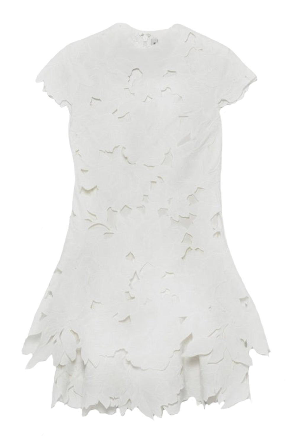 Holloway Mini Dress - 1