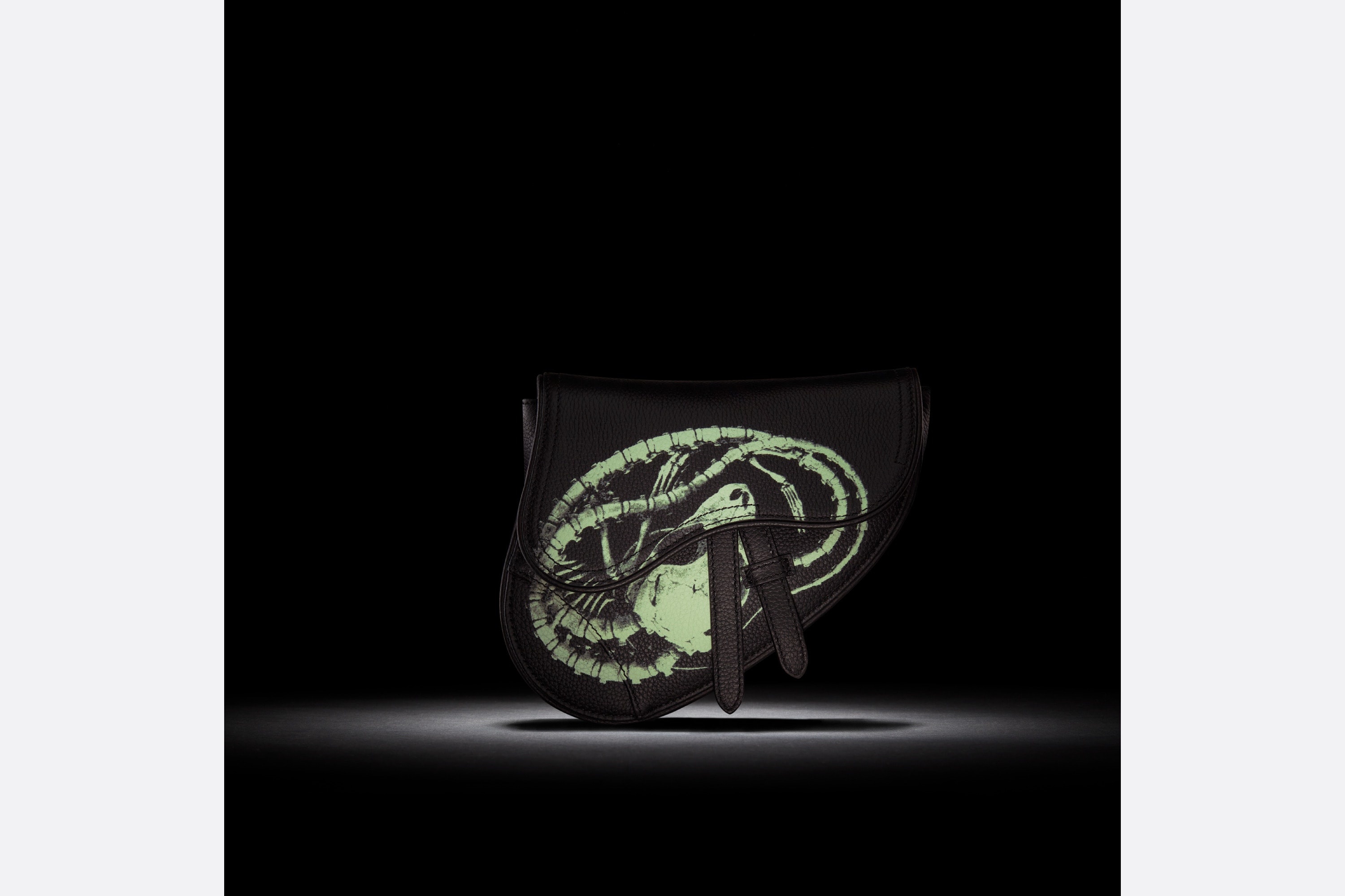 CACTUS JACK DIOR Mini Saddle Bag - 7