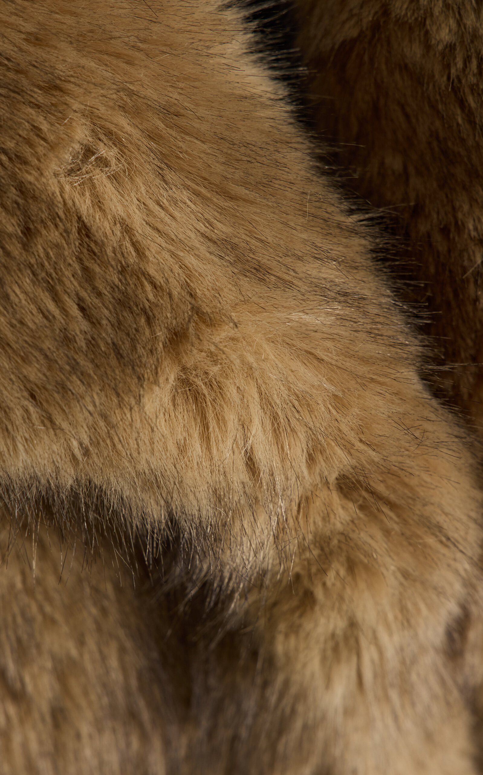 Valentina Faux Fur Jacket brown - 5