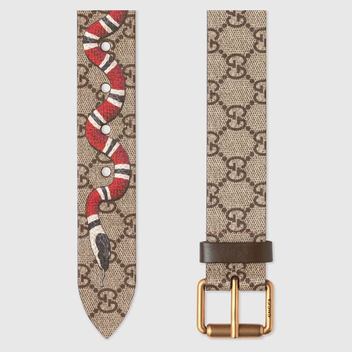 GG Supreme belt with Kingsnake print - 2