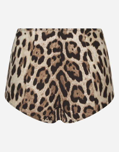 Dolce & Gabbana Leopard-print high-waisted bikini bottoms outlook