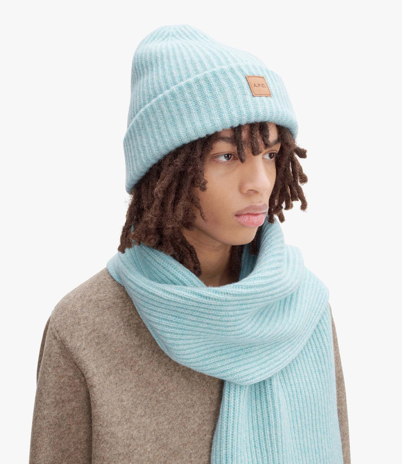 A.P.C. MICHELLE BEANIE outlook
