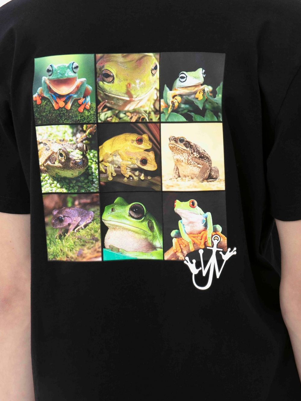 FROG T-SHIRT - 6