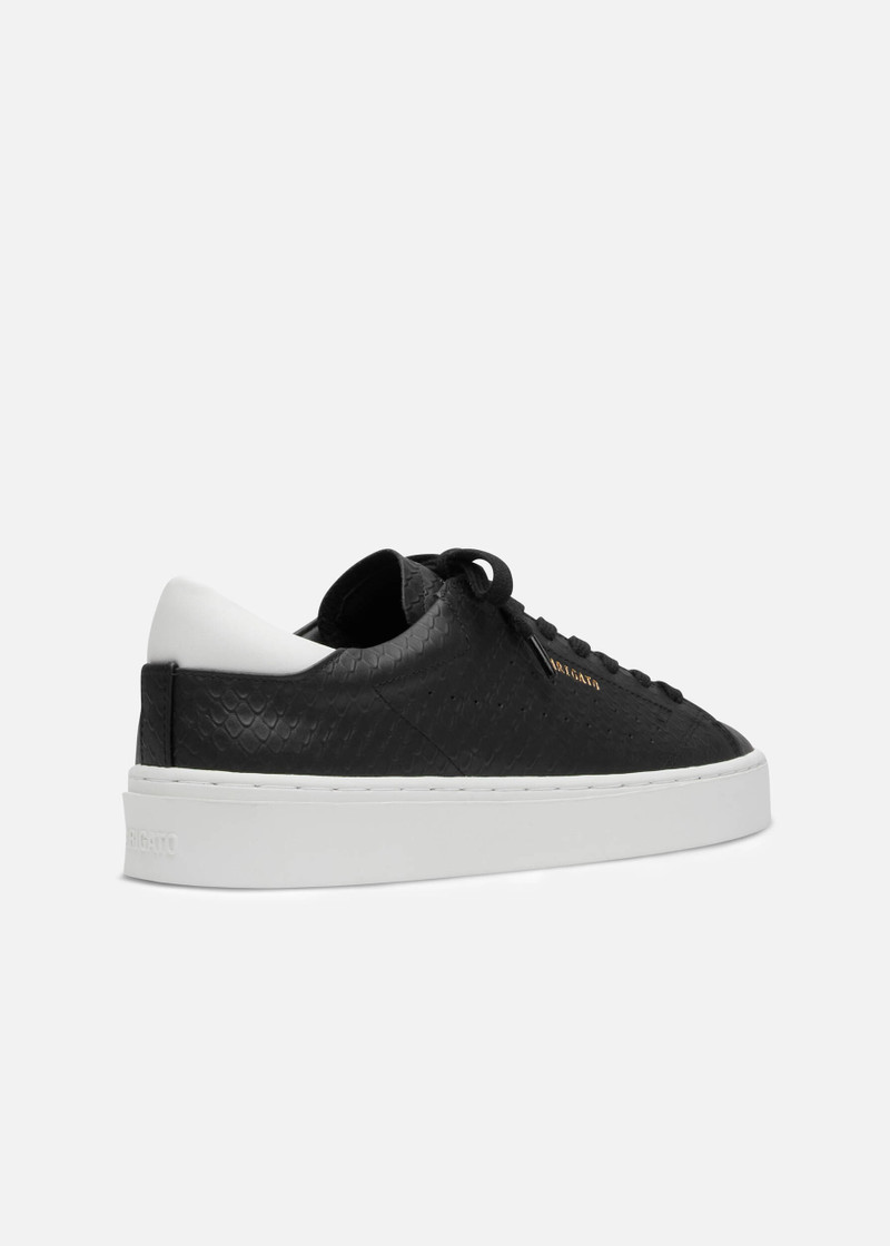 법원 Sneaker 3