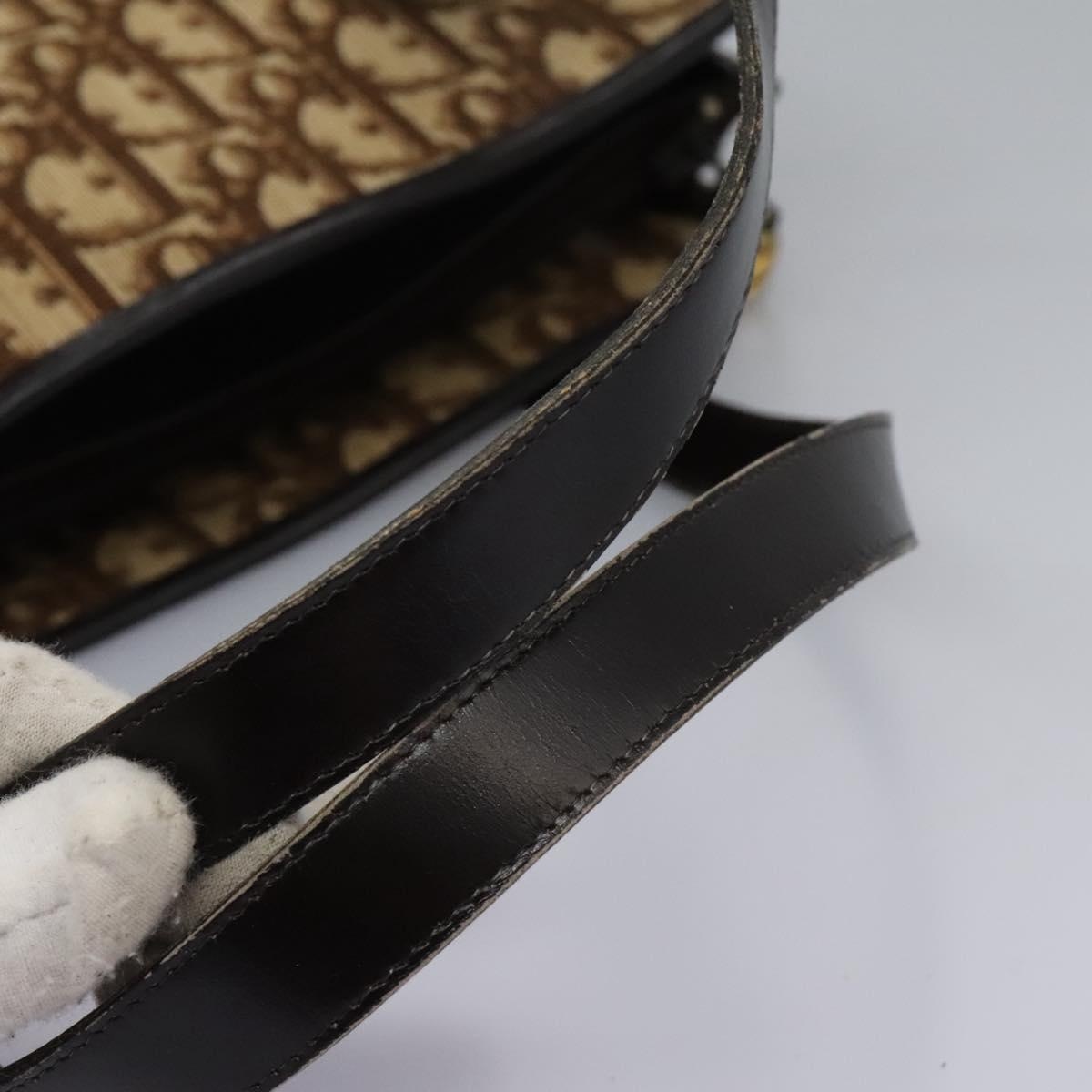 DIOR Trotter Canvas Hand Bag Brown - 8