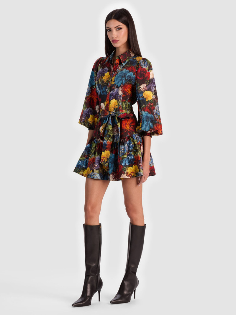 LILY MINI SHIRT DRESS 6