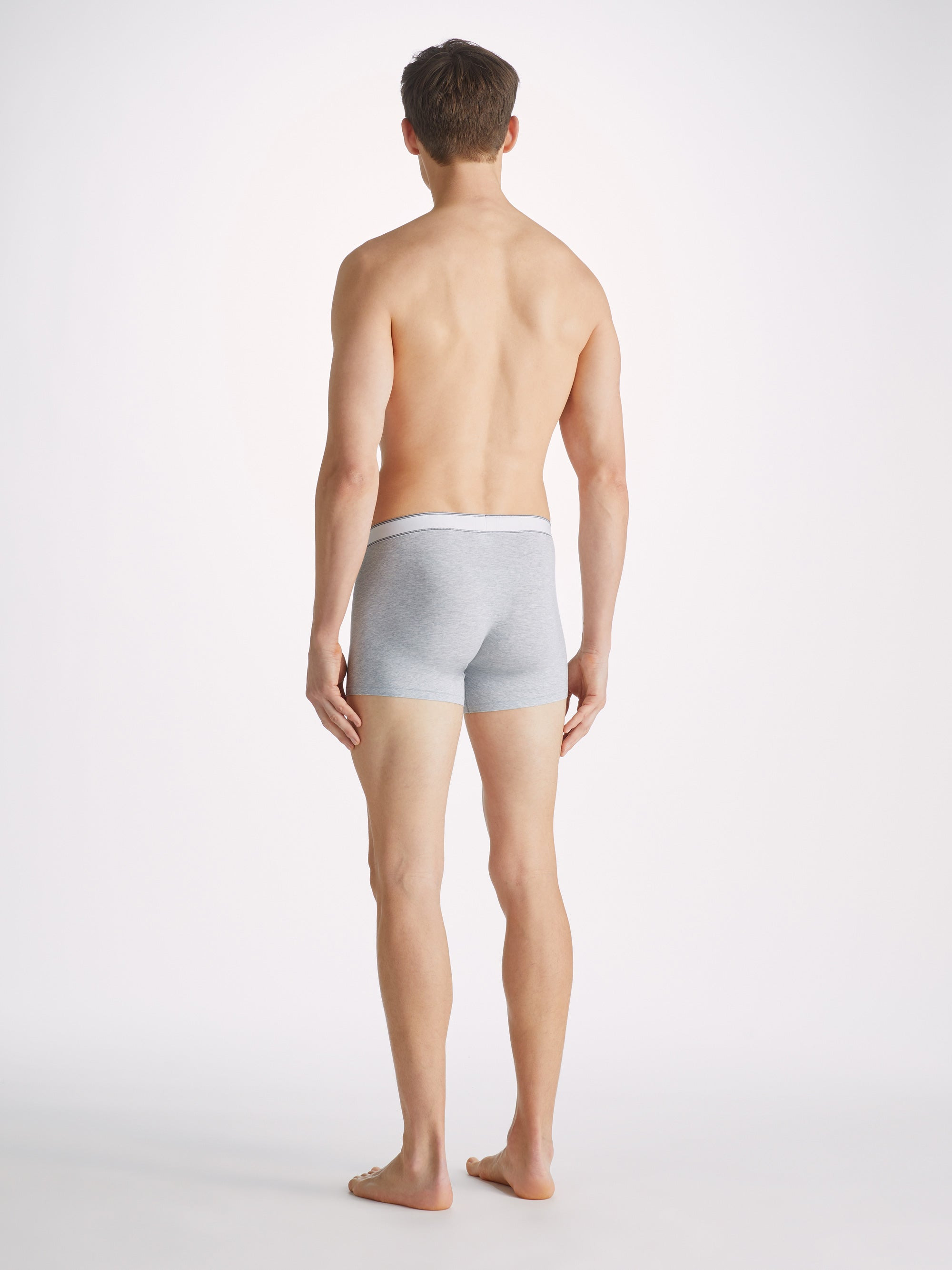 Men's Boxer Briefs Ethan Micro Modal Stretch Silver - 4