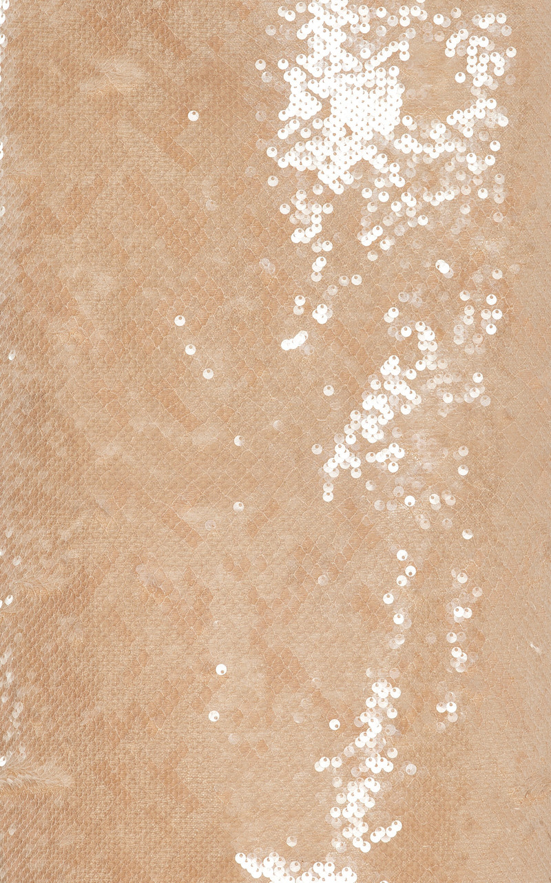 Valentina Sequined Midi Dress neutral 3