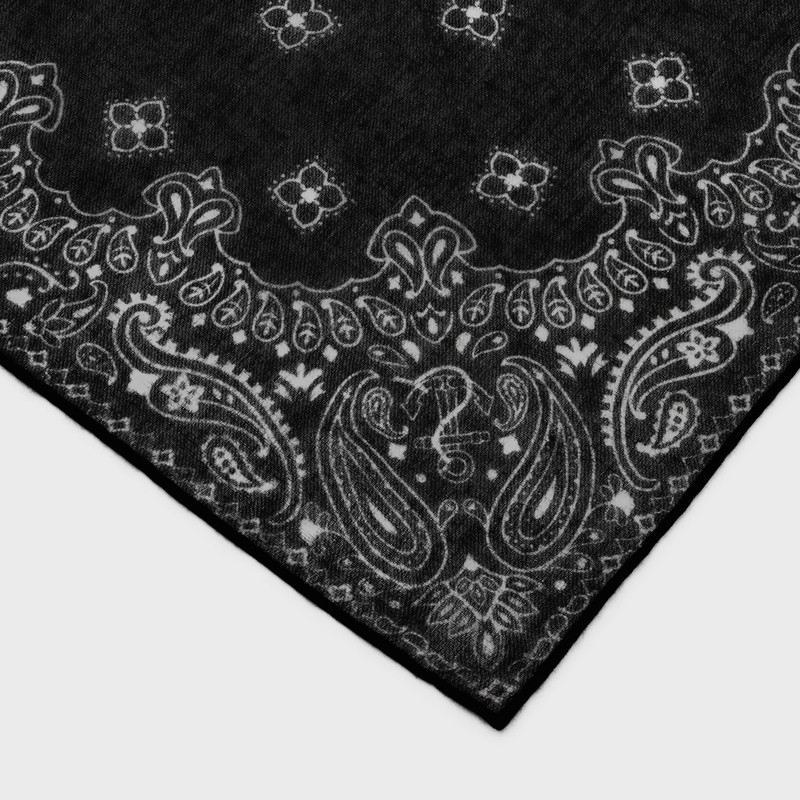 CELINE CASHMERE SCARF outlook