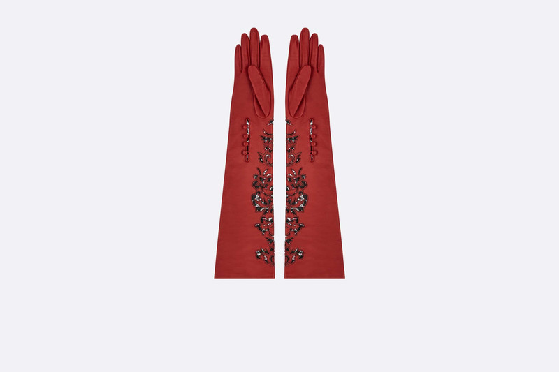 Dior Ornamental Long Gloves outlook