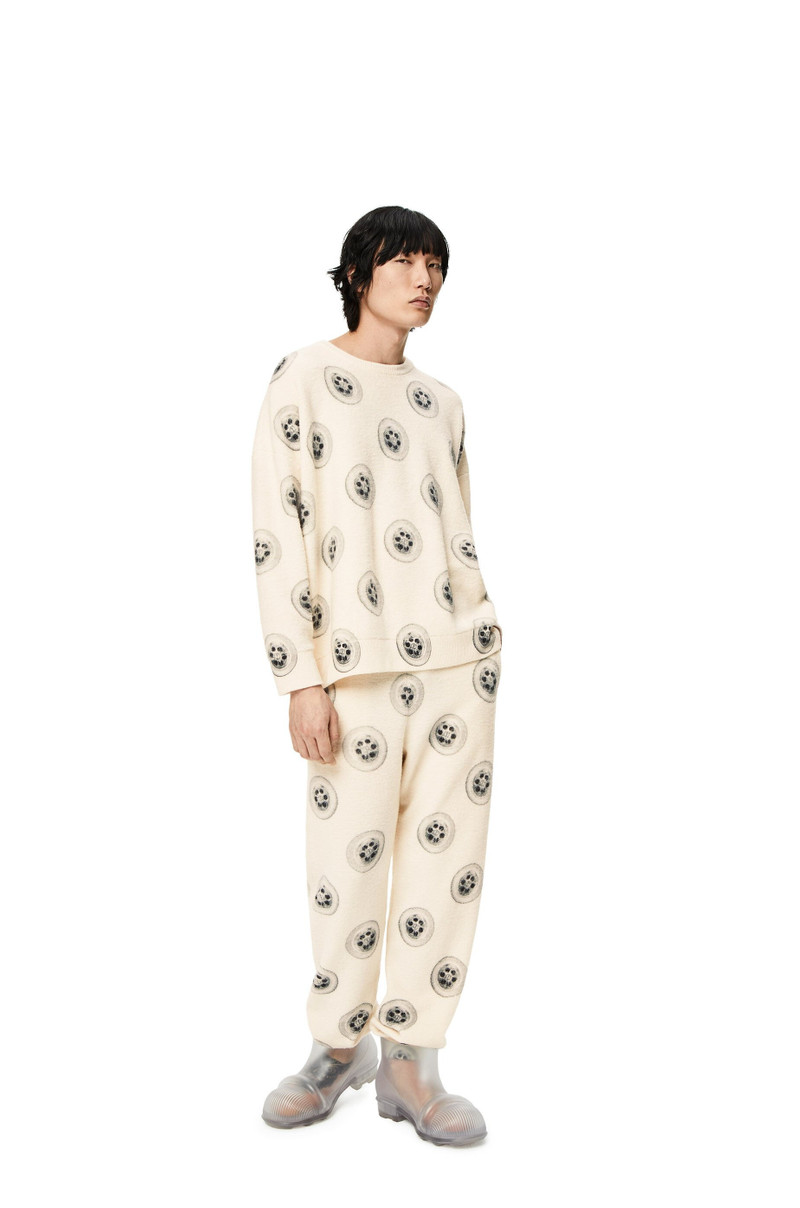 Loewe Sinkhole printed sweater in wool outlook