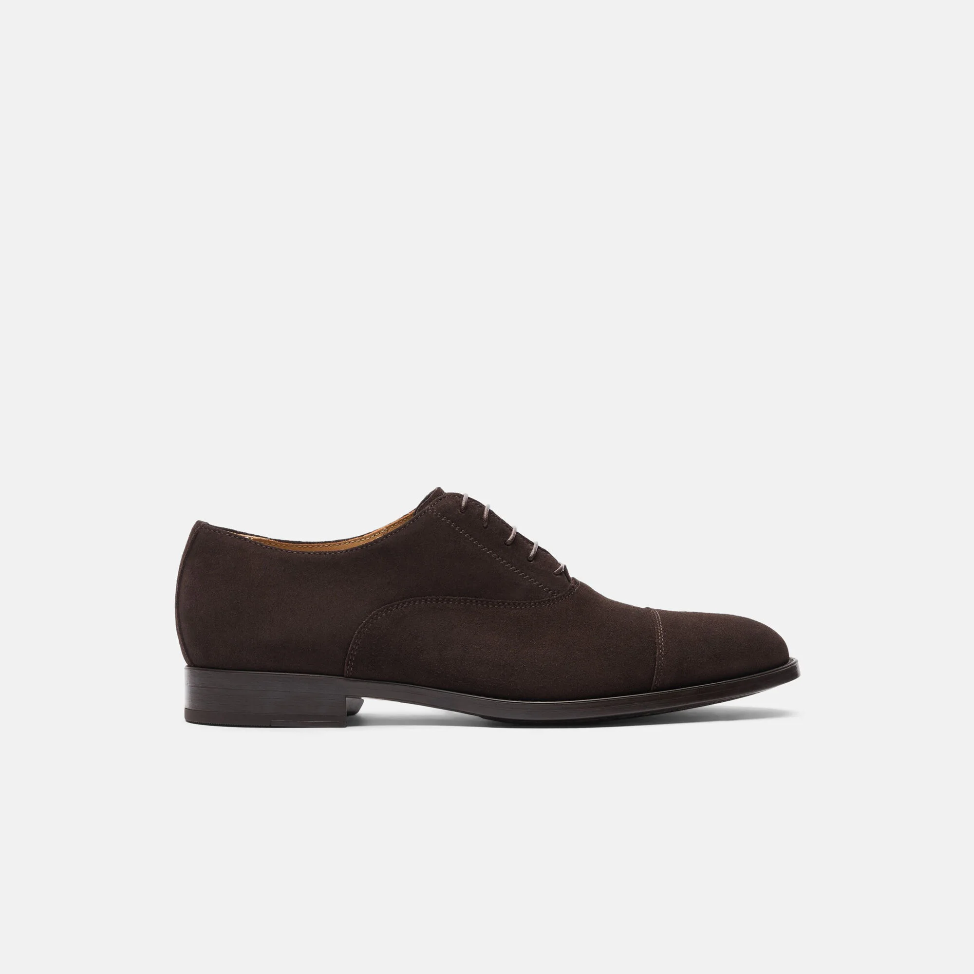 Cesare Dark Brown Suede - 1