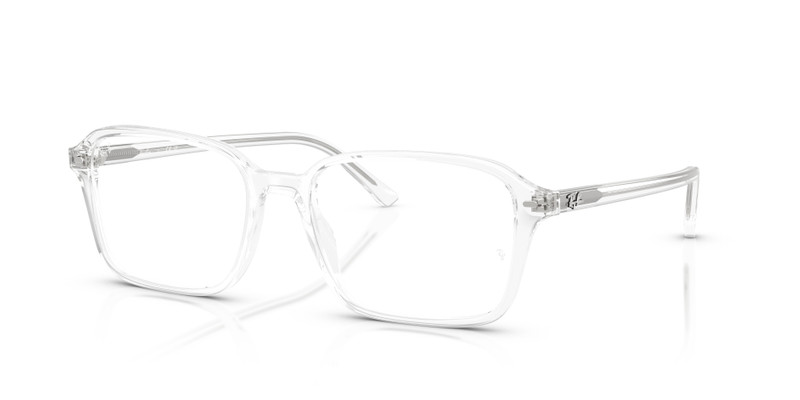 RAIMOND OPTICS 1