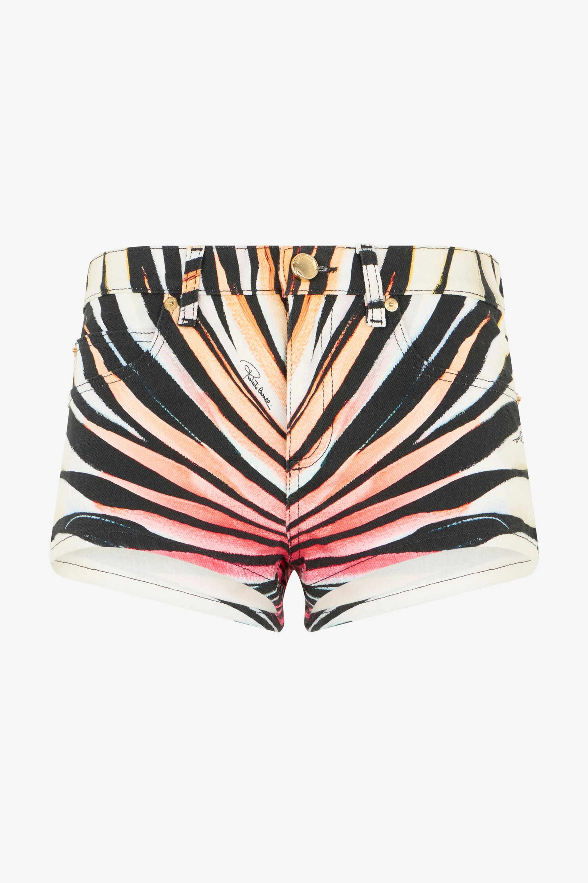 Ray Of Paradise Print Shorts - 1
