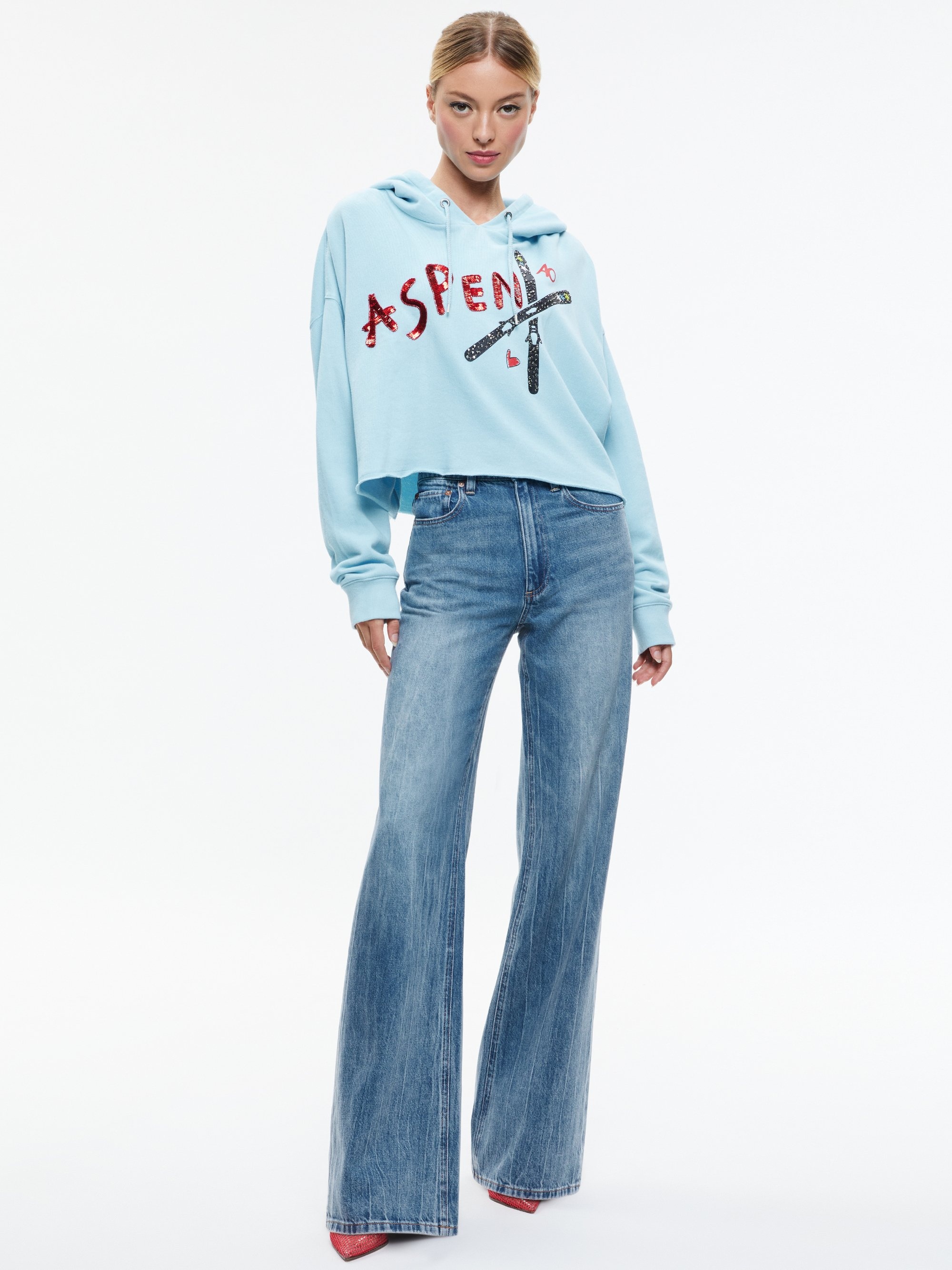 SUNNY BOXY CROPPED HOODIE - 4