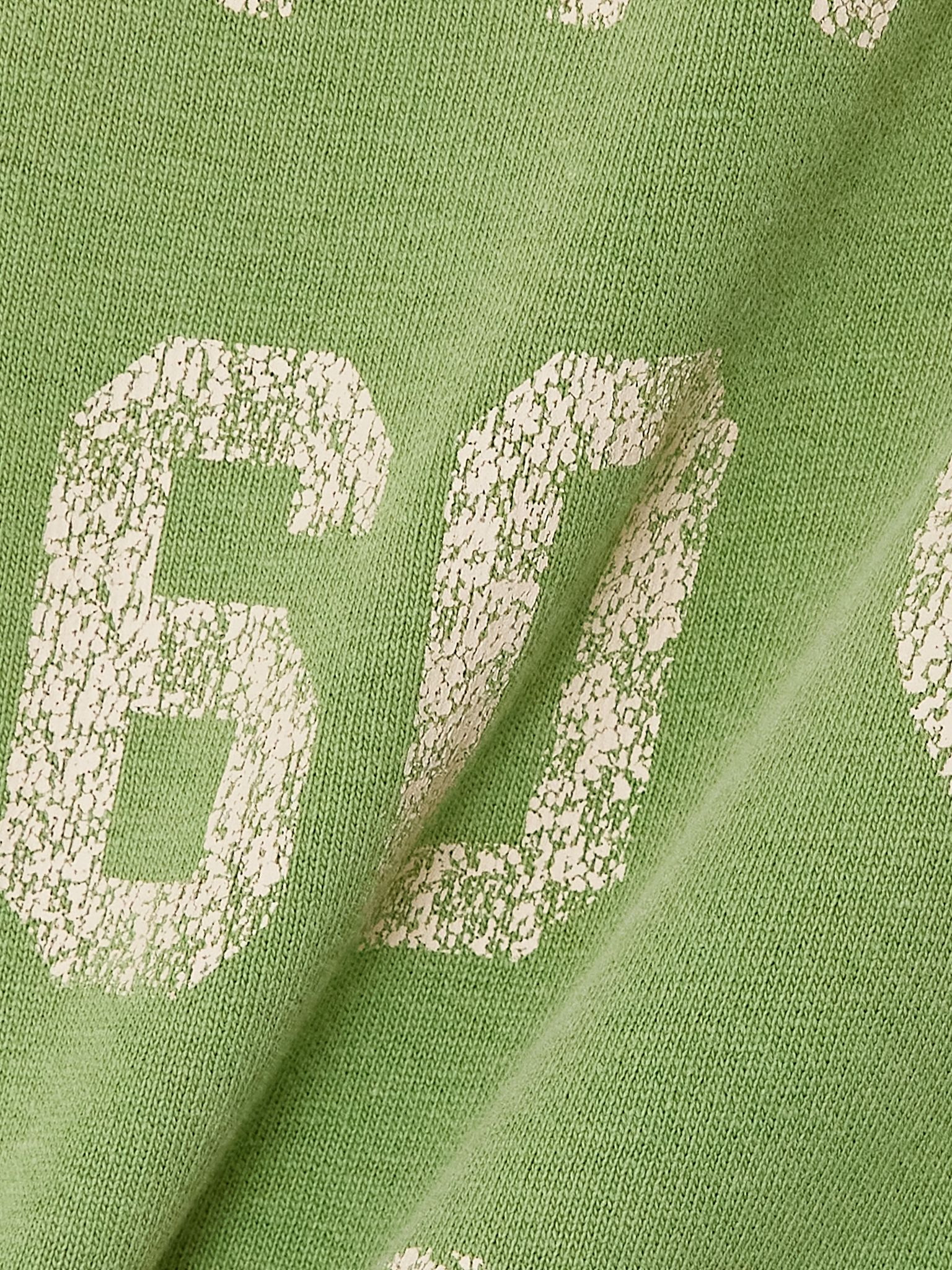 Panther 60 Lady printed appliquéd cotton-jersey T-shirt Green - 5
