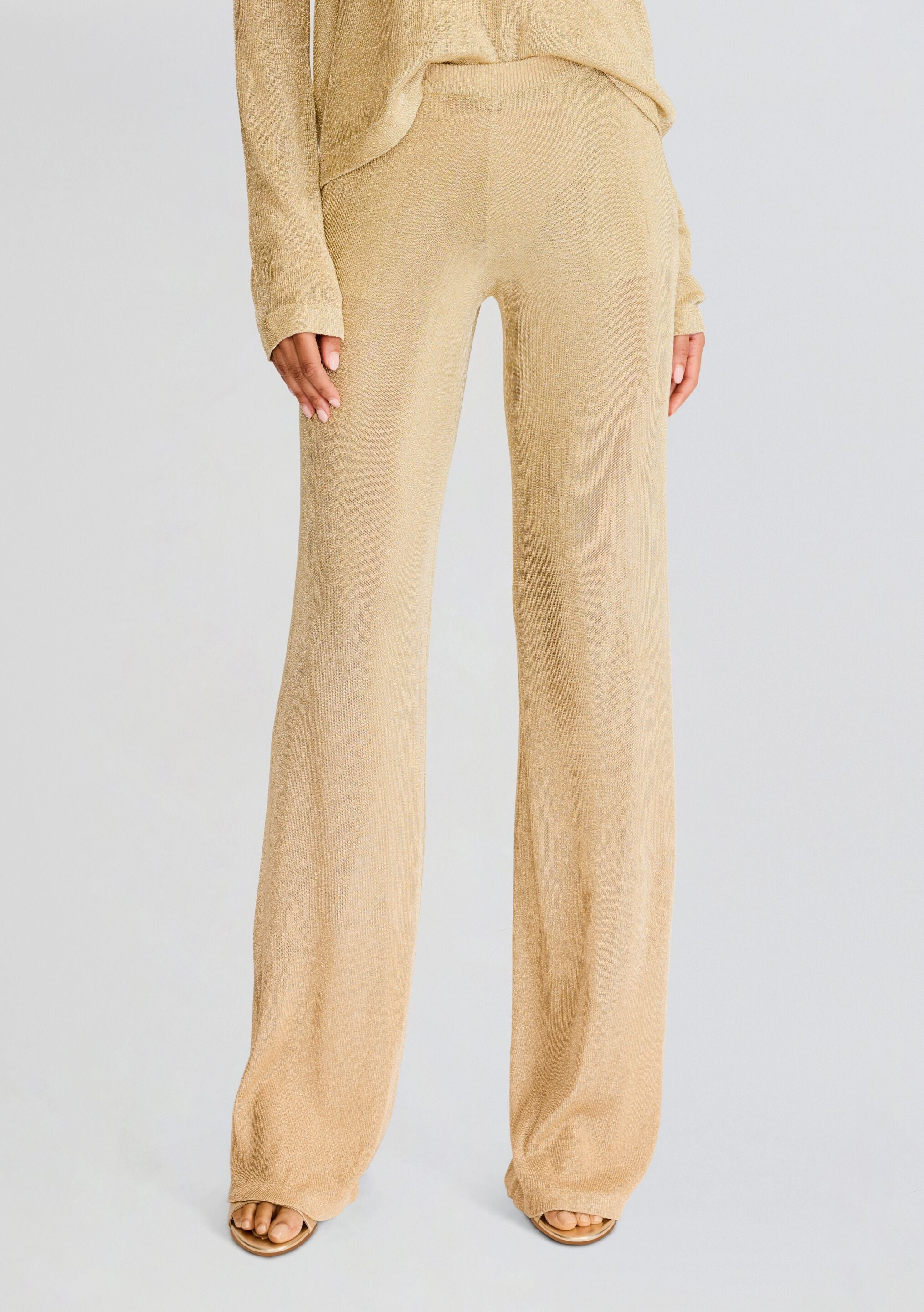 SHELDON METALLIC KNIT PANT - 1