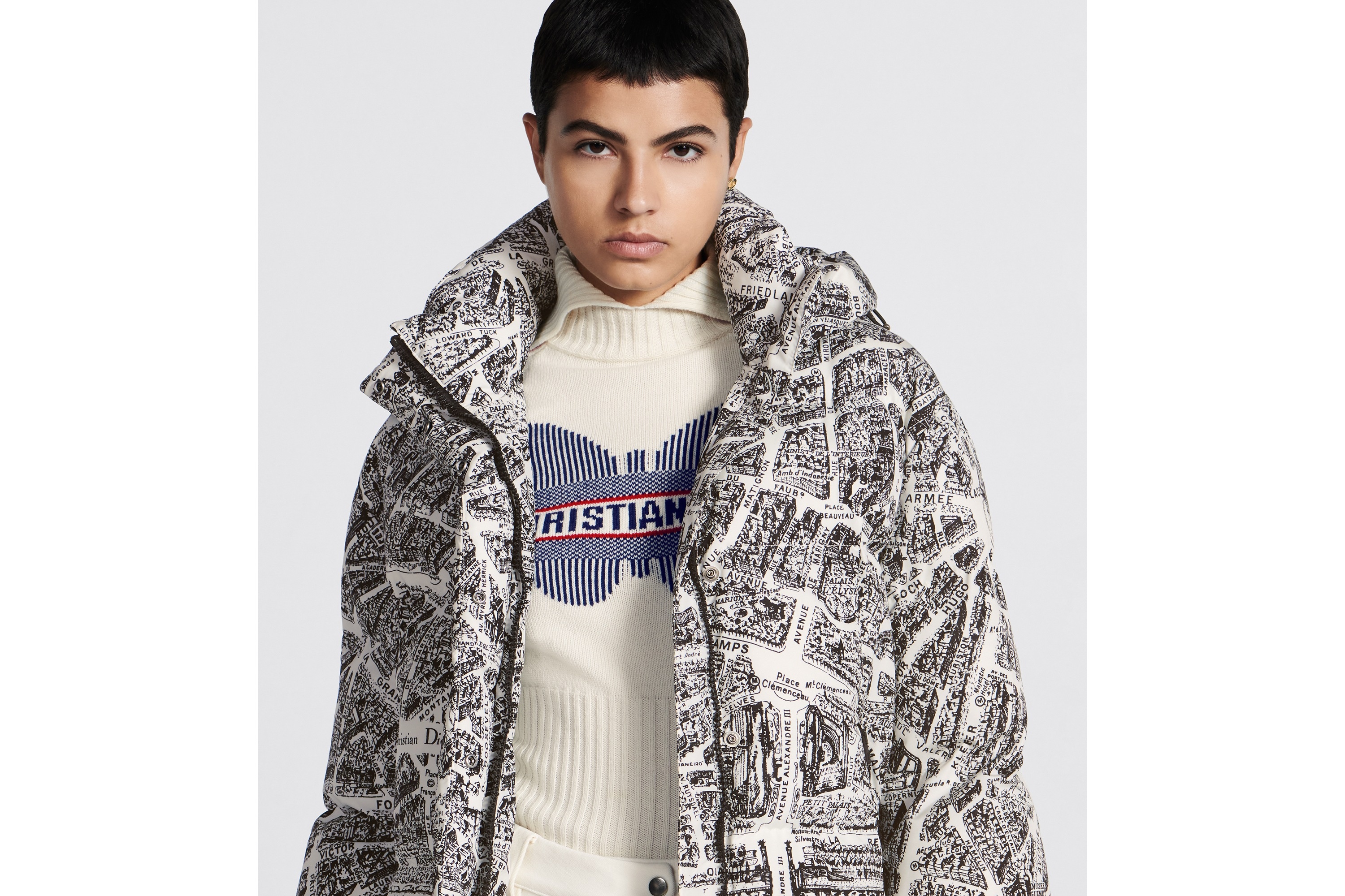 DiorAlps Hooded Puffer Jacket - 5