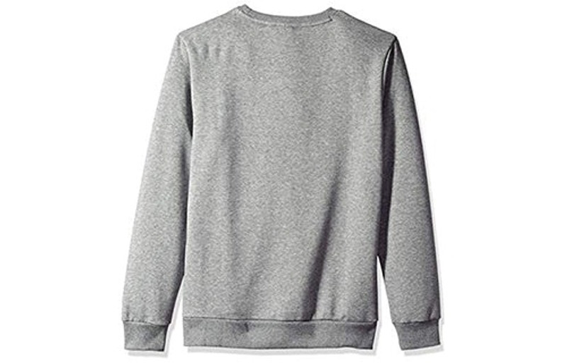 PUMA PUMA Big Logo Round Neck Gray 855069-03 outlook